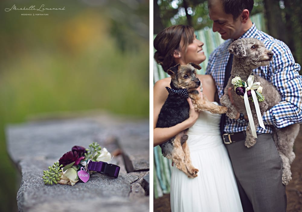 Mishelle Lamarand PhotographyMichigan Intimate Wedding Photographer (5)