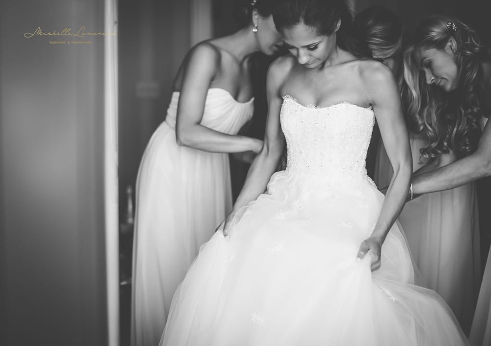 Mishelle Lamarand Photography 2015Metro Detroit Wedding PhotographerMichigan Wedding Photographer (4)