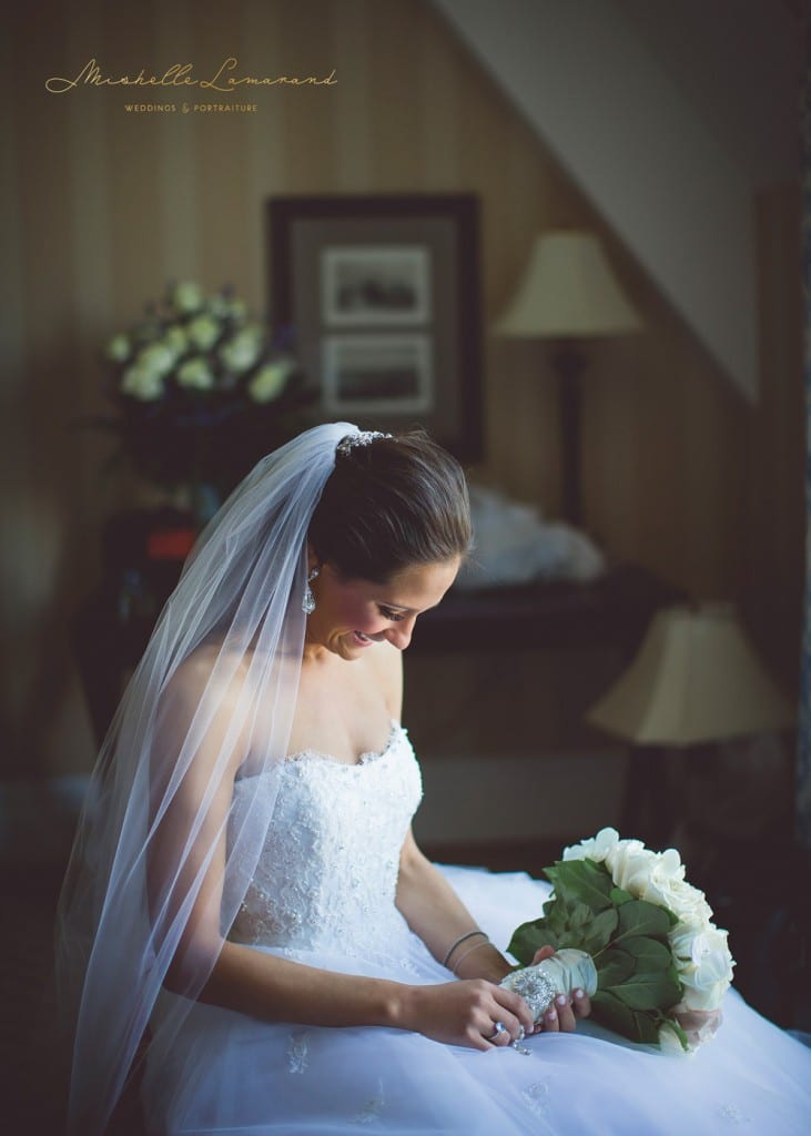 Mishelle Lamarand Photography 2015Metro Detroit Wedding PhotographerMichigan Wedding Photographer_1