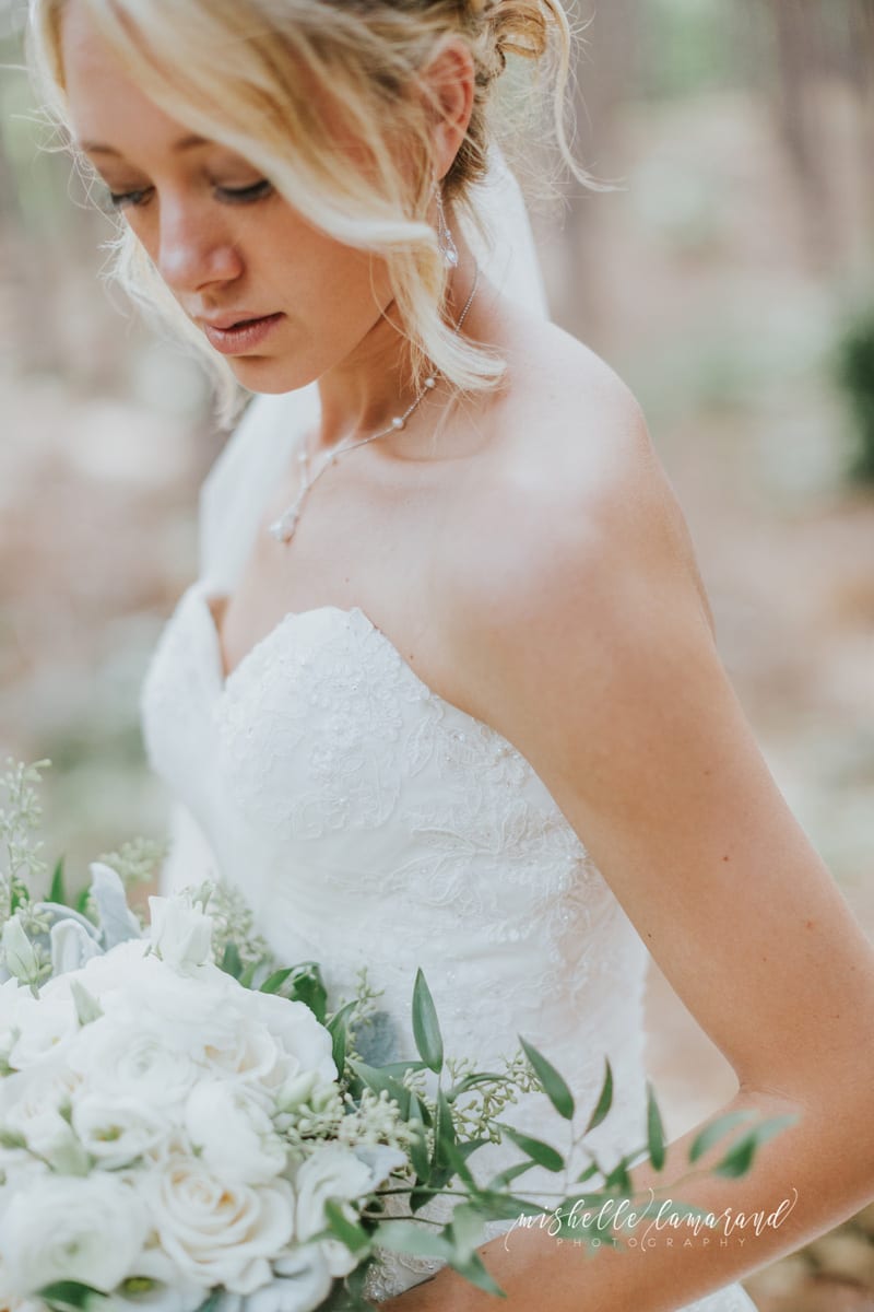 mishelle-lamarand-photographywest-michigan-wedding-photographermichigan-wedding-photographer-36