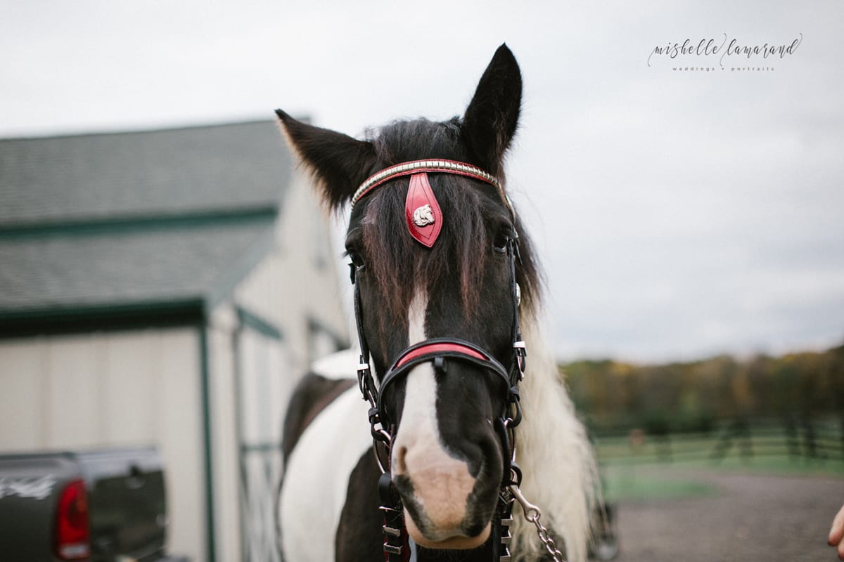 mishelle-lamarand-photography,ann-arbor-wedding-photography,michigan-wedding-photography