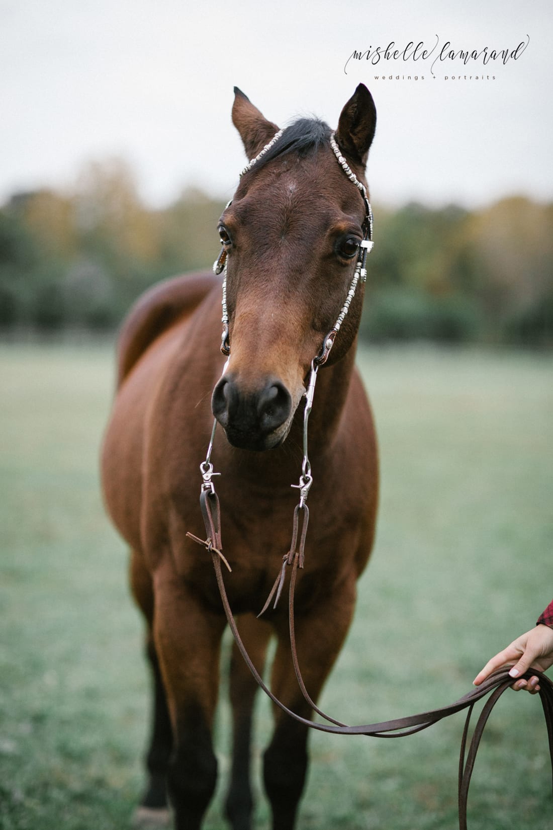 mishelle-lamarand-photography,ann-arbor-wedding-photography,michigan-wedding-photography