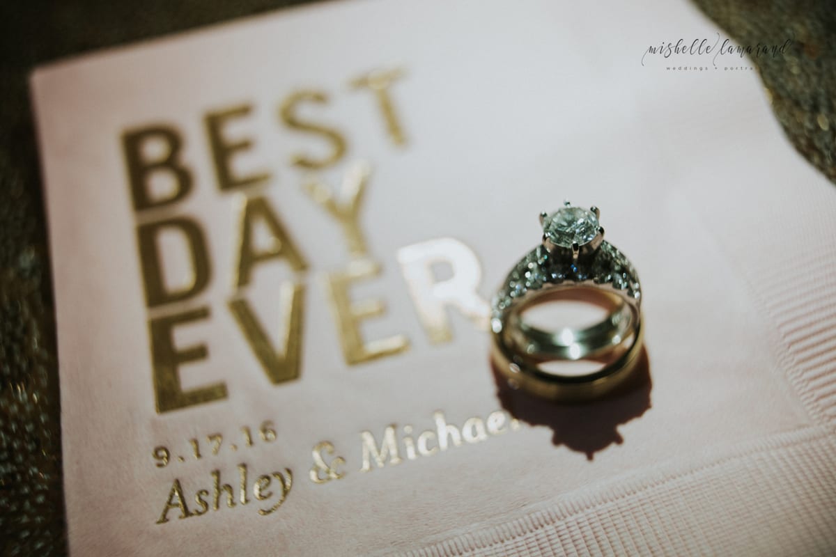 mishelle-lamarand-photographywest-michigan-weddingwest-michigan-wedding-photographyann-arbor-wedding-photography-62