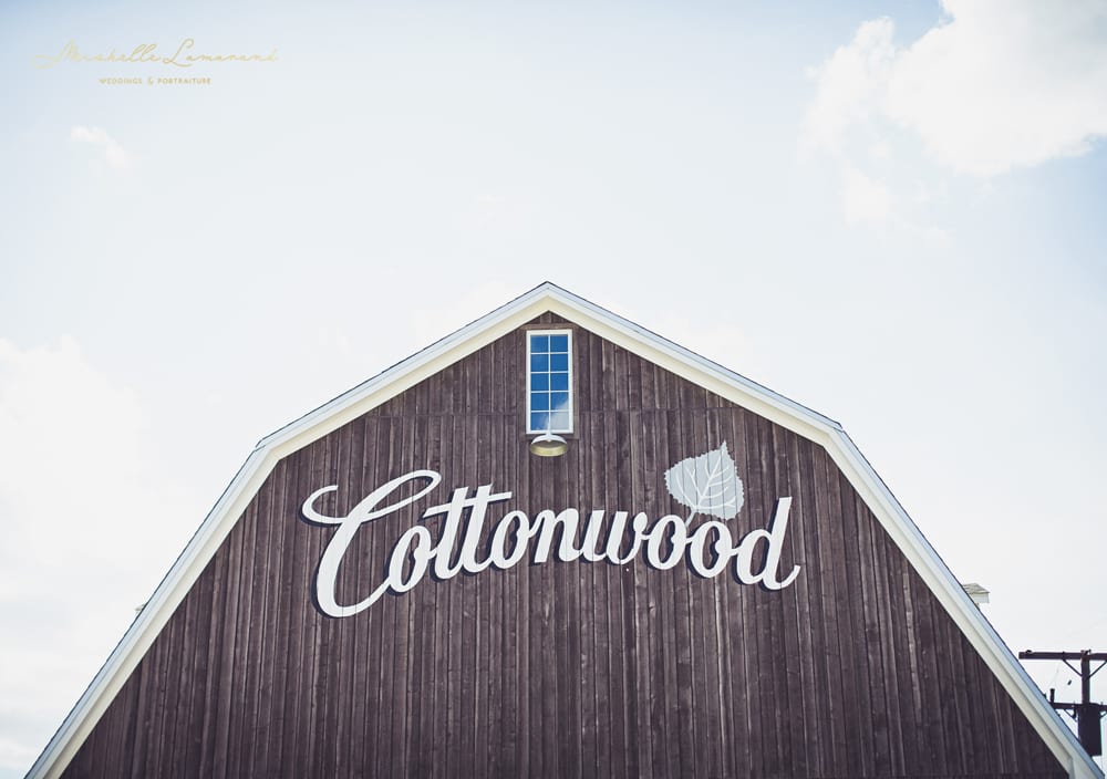 Mishelle Lamarand Photography, Ann Arbor Wedding Photographer, Cottonwood Barn, Luna Soiree Events, Dexter Wedding Photographer, Michigan Barn Wedding, Michigan Wedding Photographer01